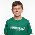 Youth Boys T-Shirt Kelly Green Boxed Dragons