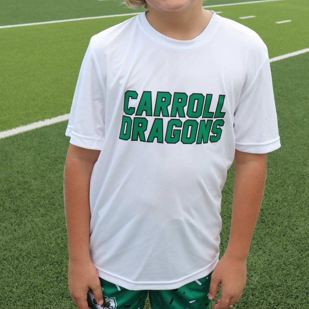 Youth Boys White T-Shirt Stacked Carroll Dragons