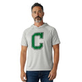 Men's Gray SS hooded Green C